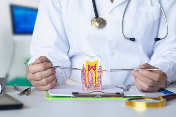 Best Pediatric Emergency Dentist in Maryville, MO